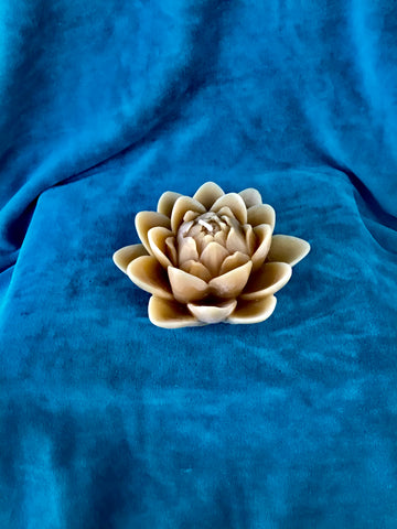 Medium Lotus