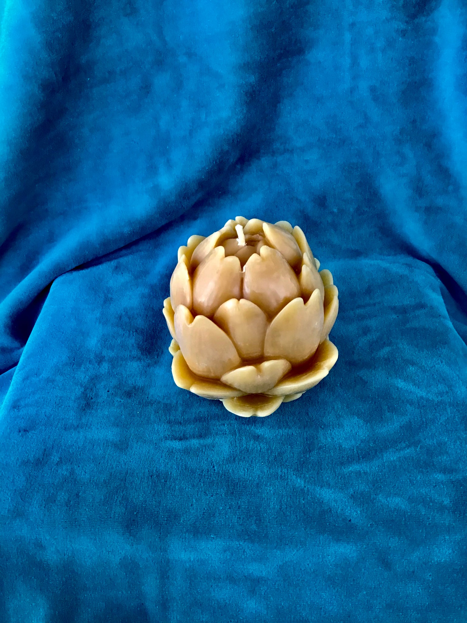 Large Artichoke